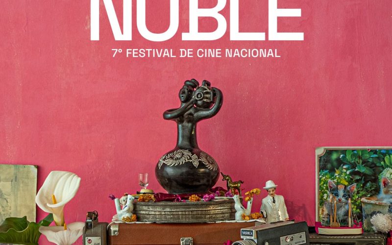 AFICHE FESTIVAL JPEG AFI